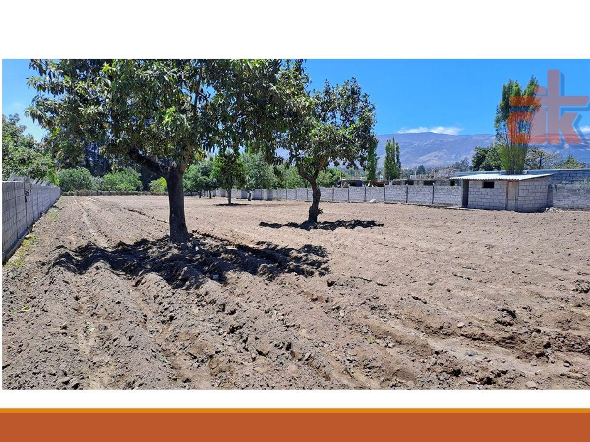 Terreno en Venta – Tumbaco, Collaquí — imagen 6