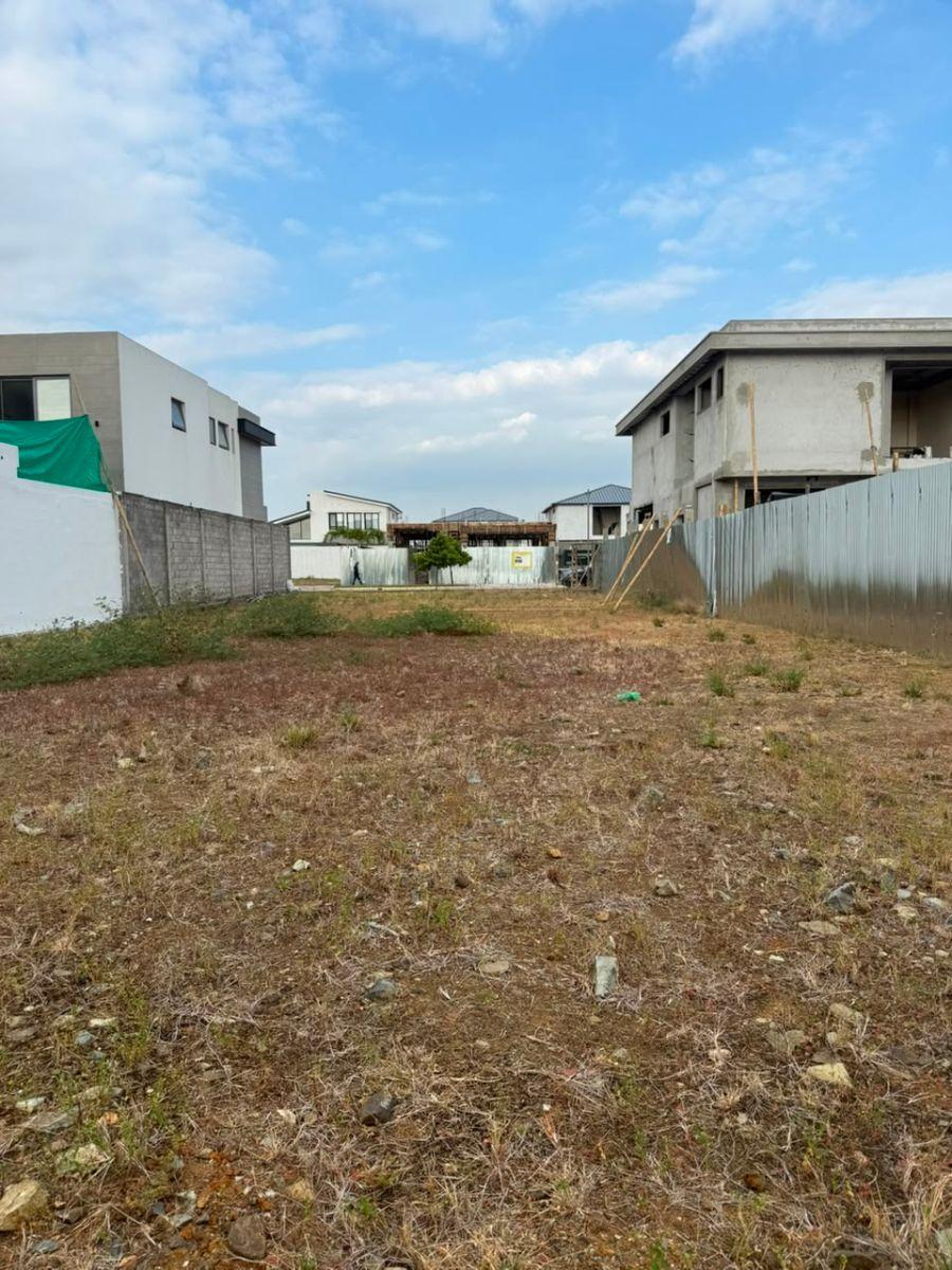 Vendo Terreno, Nuevo Samborondon, Punta Barranca 100,guardiania 24/7,piscina, Gimnasio, Canchas Deportiv, Guayas — imagen 5