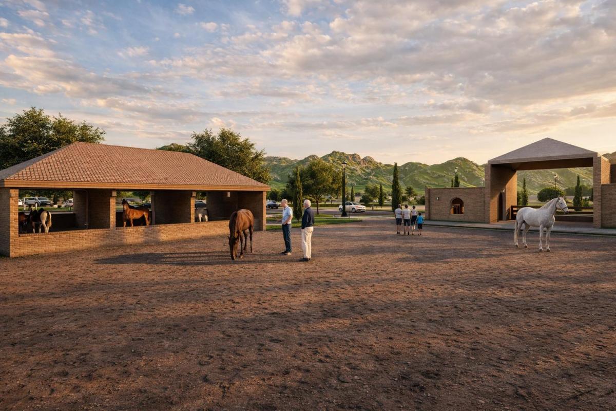 Lotes Estilo Rancho de 1000 m² en Pedro Moncayo — imagen 8