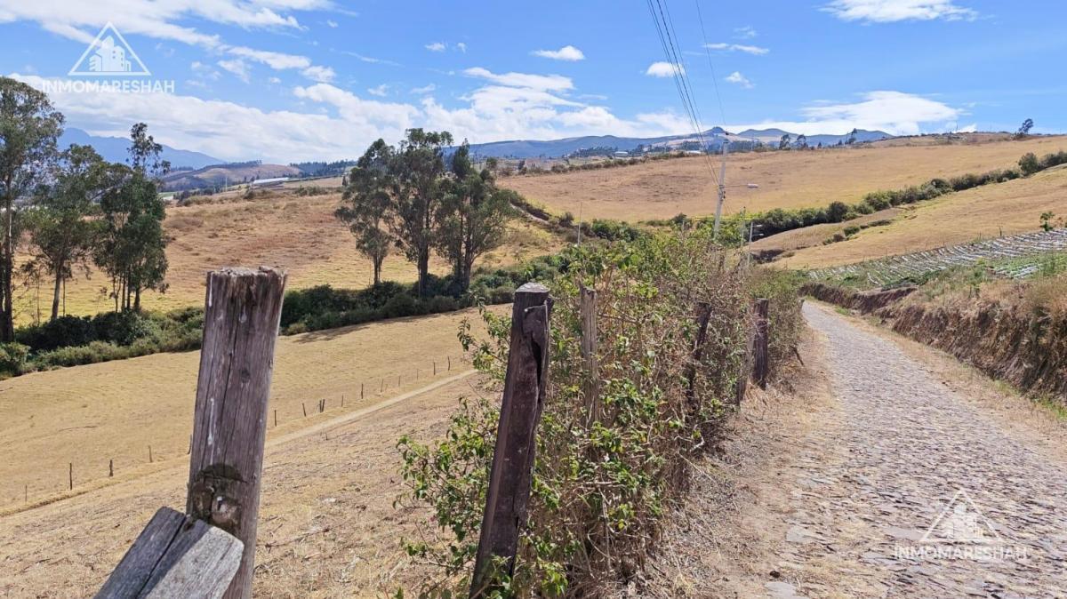 Terreno de 25 Has en Venta en Checa a 5 Minutos de La E35 — imagen 10