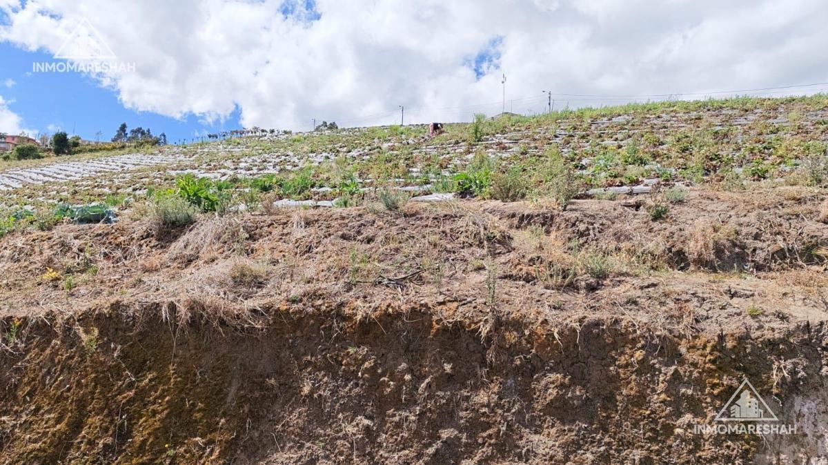 Terreno de 25 Has en Venta en Checa a 5 Minutos de La E35 — imagen 9