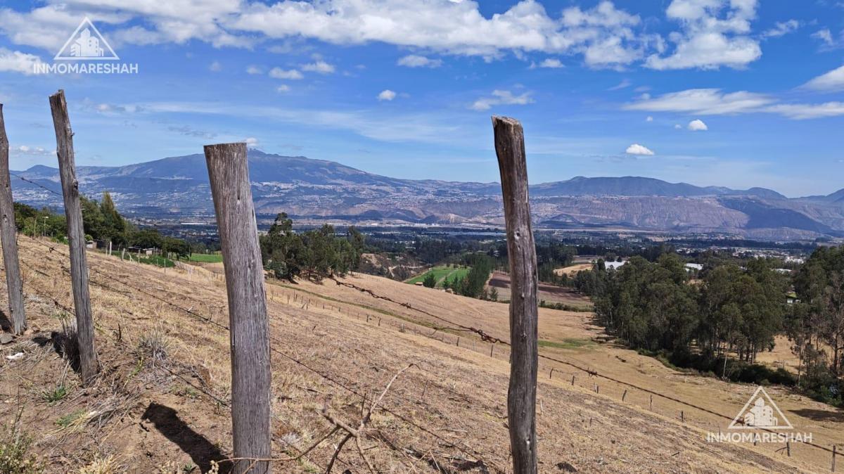Terreno de 25 Has en Venta en Checa a 5 Minutos de La E35 — imagen 8
