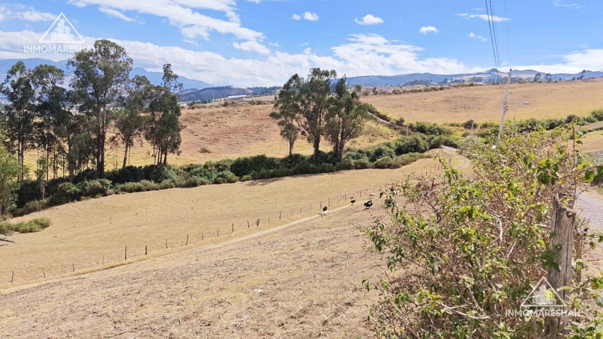 Terreno de 25 Has en Venta en Checa a 5 Minutos de La E35 — imagen 7
