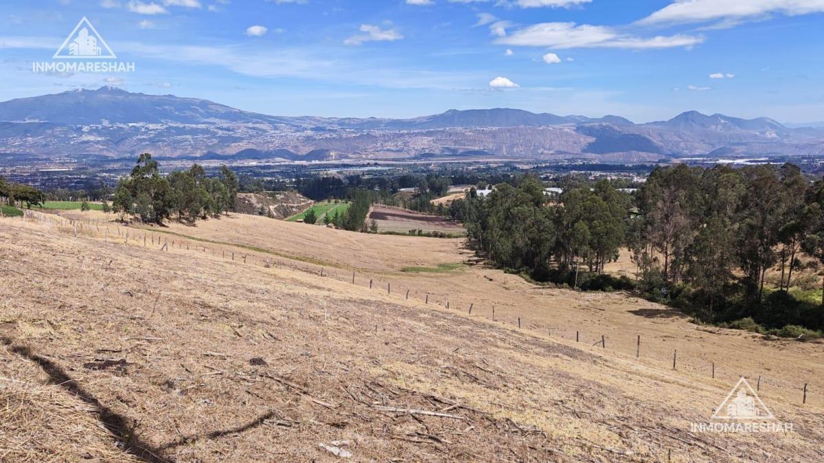 Terreno de 25 Has en Venta en Checa a 5 Minutos de La E35 — imagen 6