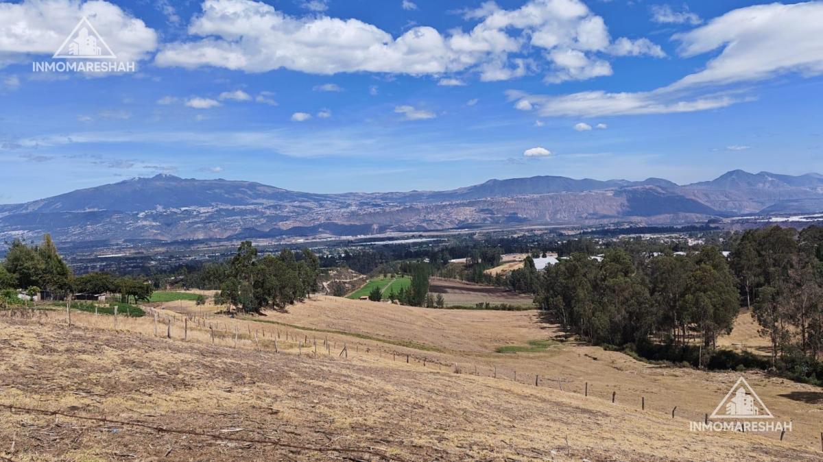 Terreno de 25 Has en Venta en Checa a 5 Minutos de La E35 — imagen 5