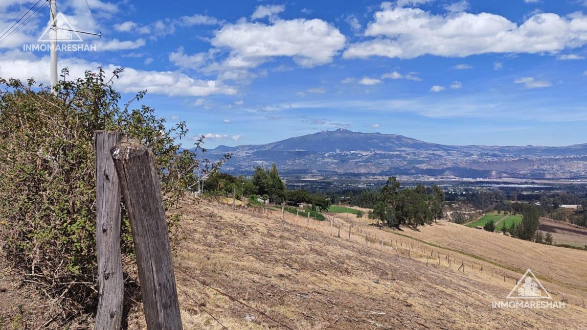 Terreno de 25 Has en Venta en Checa a 5 Minutos de La E35 — imagen 4