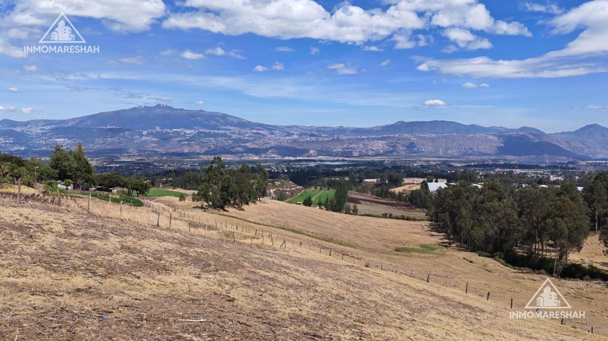 Terreno de 25 Has en Venta en Checa a 5 Minutos de La E35 — imagen 3