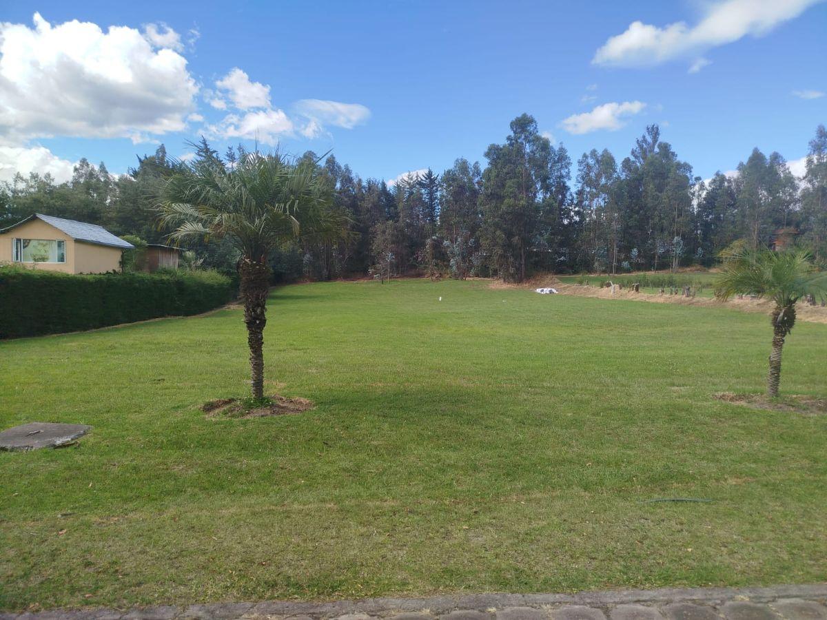 Vendo Terreno Plano Inversión Oportunidad Proyectos Tumbaco La Morita — imagen 6