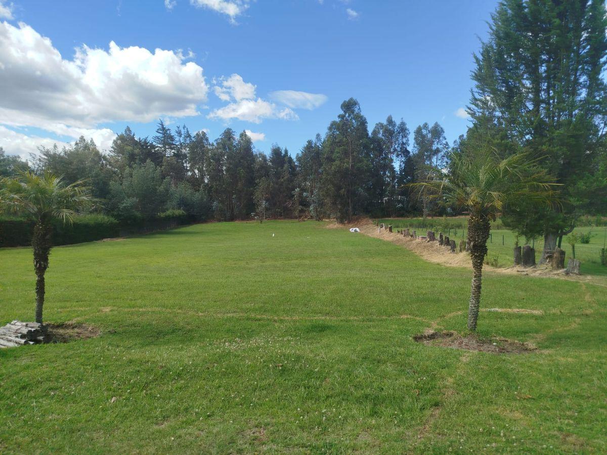 Vendo Terreno Plano Inversión Oportunidad Proyectos Tumbaco La Morita — imagen 3