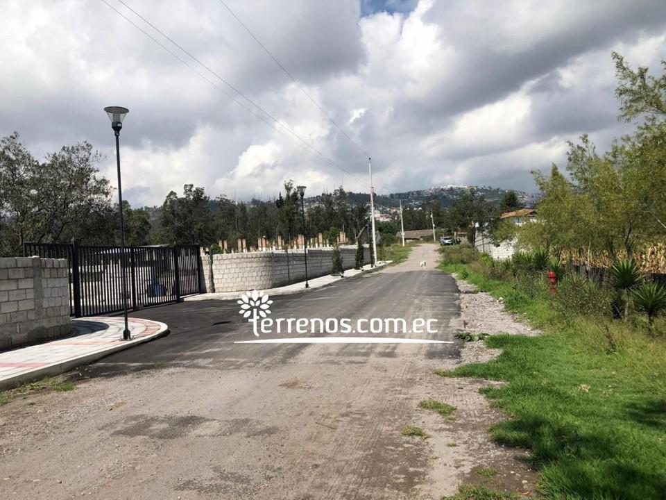 Terreno de Venta Llano Chico 2.299 m² Urb Bosques y Prados Antigua Hcda. San Jose — imagen 5