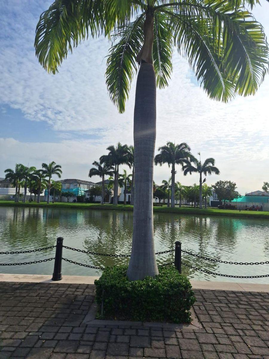 Aires del Batan Terreno Al Lago en Venta, Guayas — imagen 4
