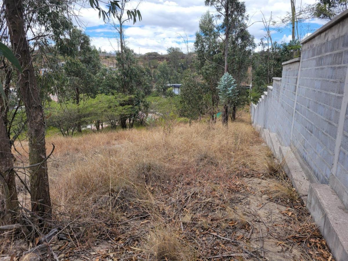 Terreno en Tumbaco — imagen 9