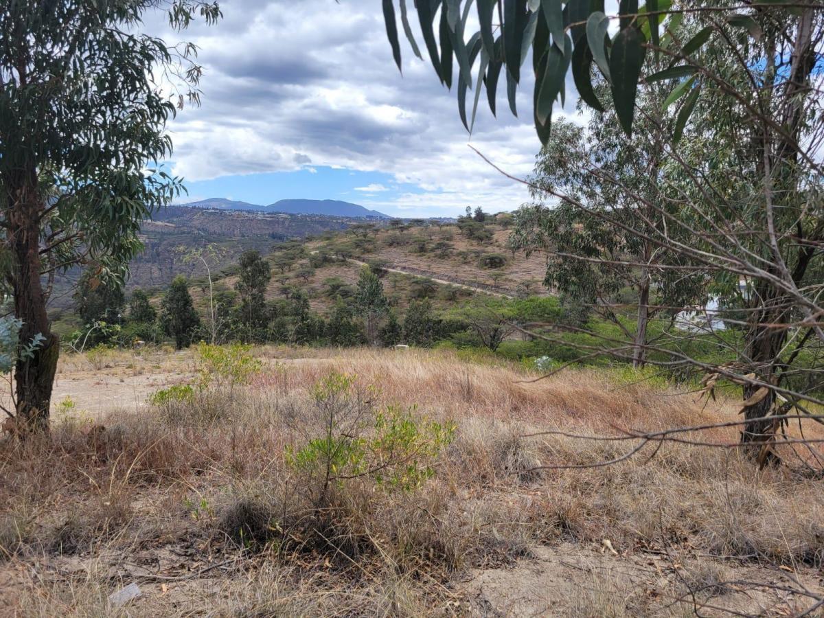 Terreno en Tumbaco — imagen 8