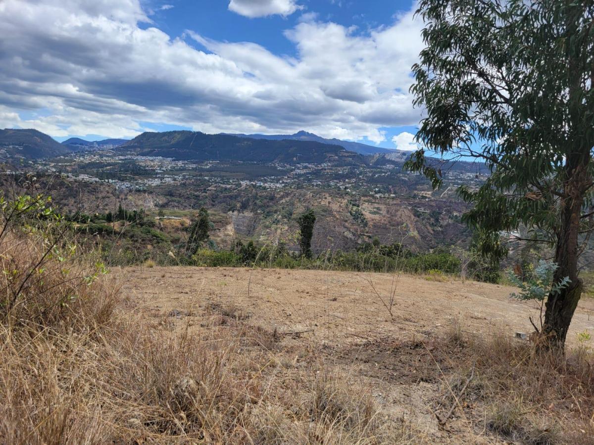 Terreno en Tumbaco — imagen 7