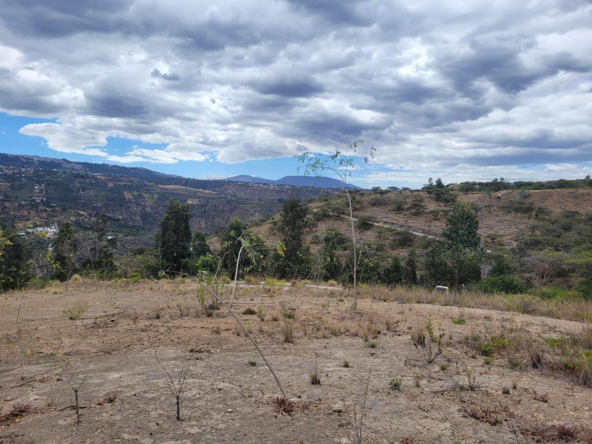 Terreno en Tumbaco — imagen 6