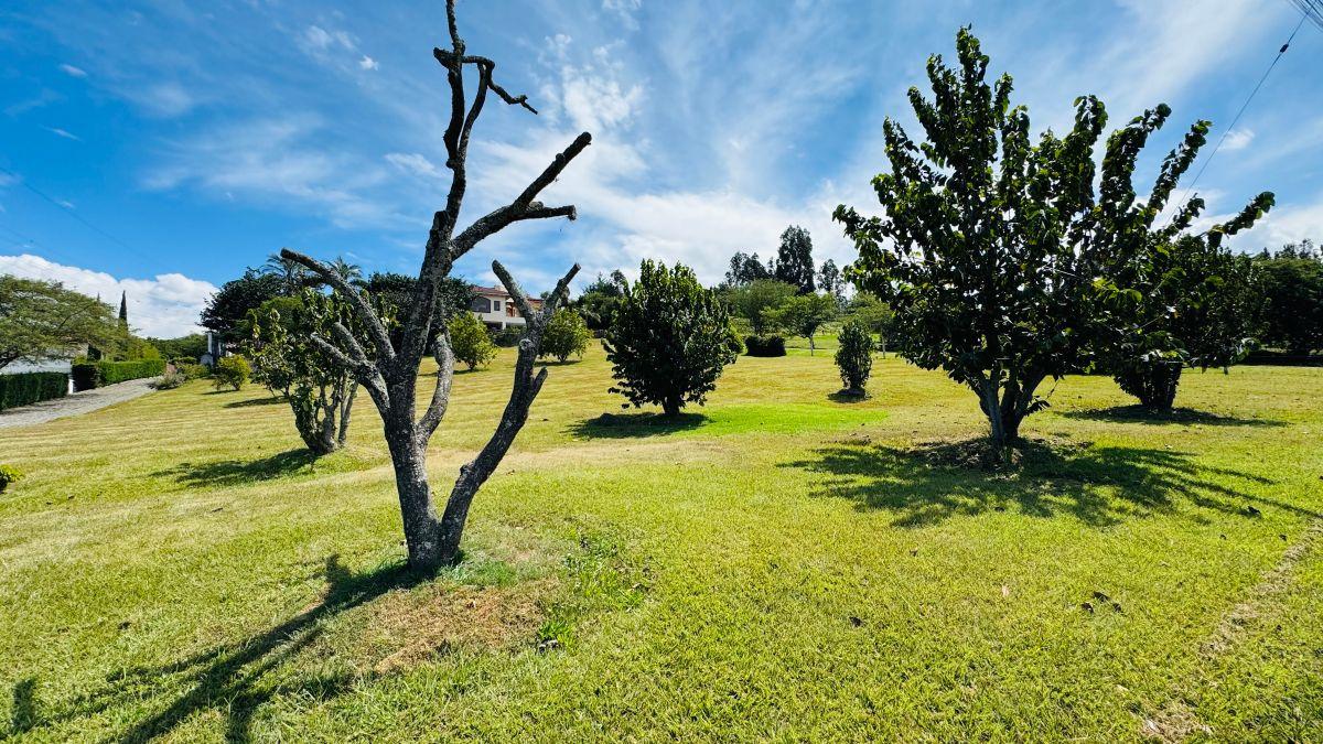 Terreno Venta Tumbaco — imagen 10
