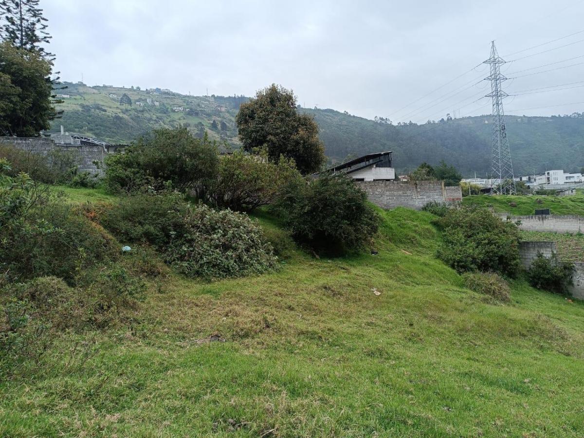 Venta Terreno Esquinero en Conocoto 1012 m² Los Chillos — imagen 9