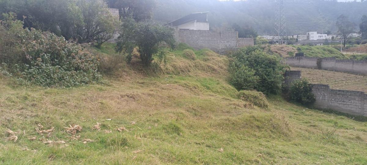Venta Terreno Esquinero en Conocoto 1012 m² Los Chillos — imagen 4
