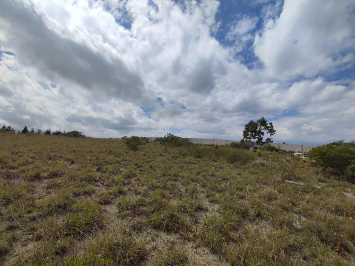 Terreno Independiente en Venta en Malchinguí, Entorno de Urbanizaciones Privadas — imagen 8