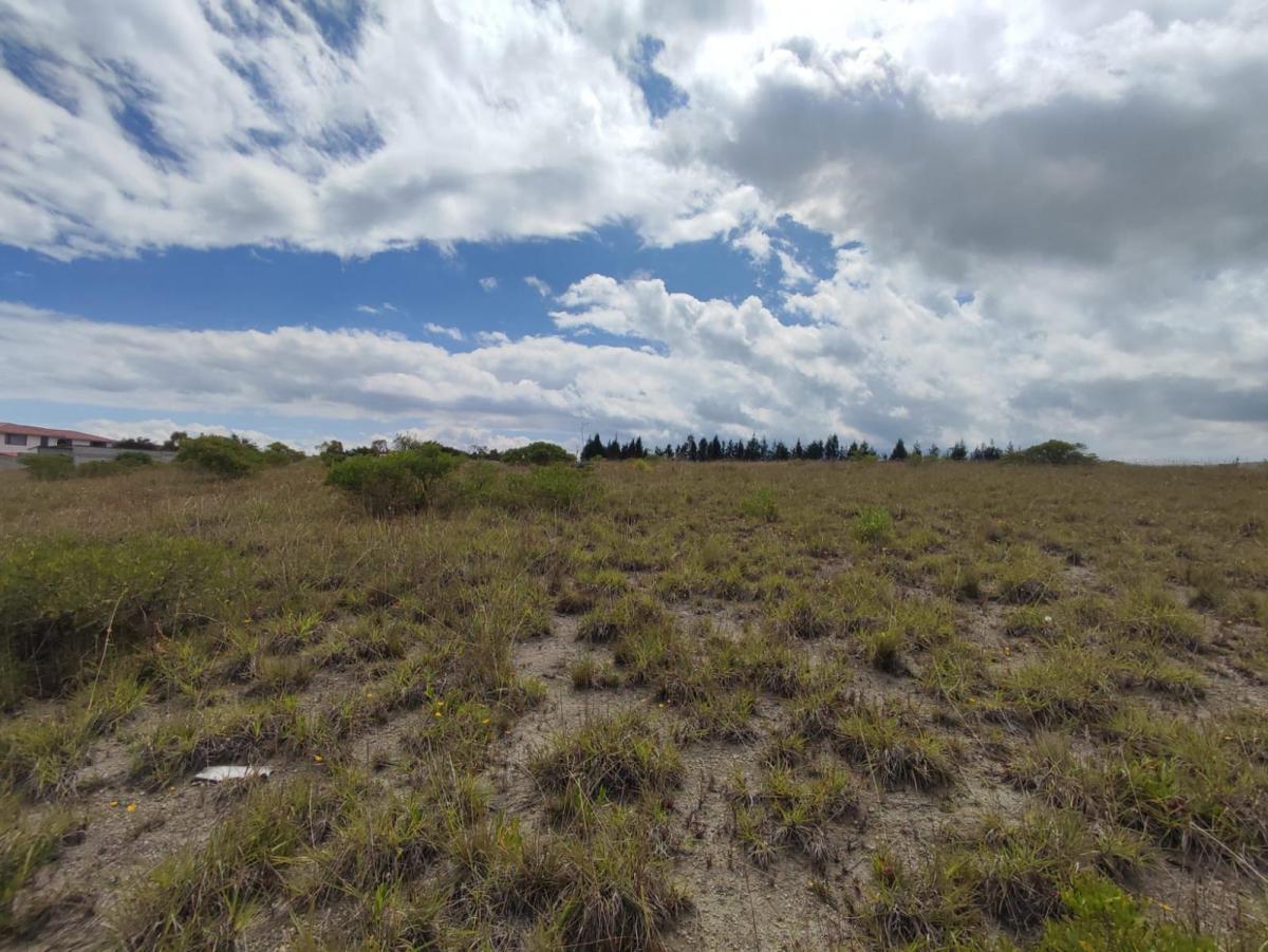 Terreno Independiente en Venta en Malchinguí, Entorno de Urbanizaciones Privadas — imagen 6