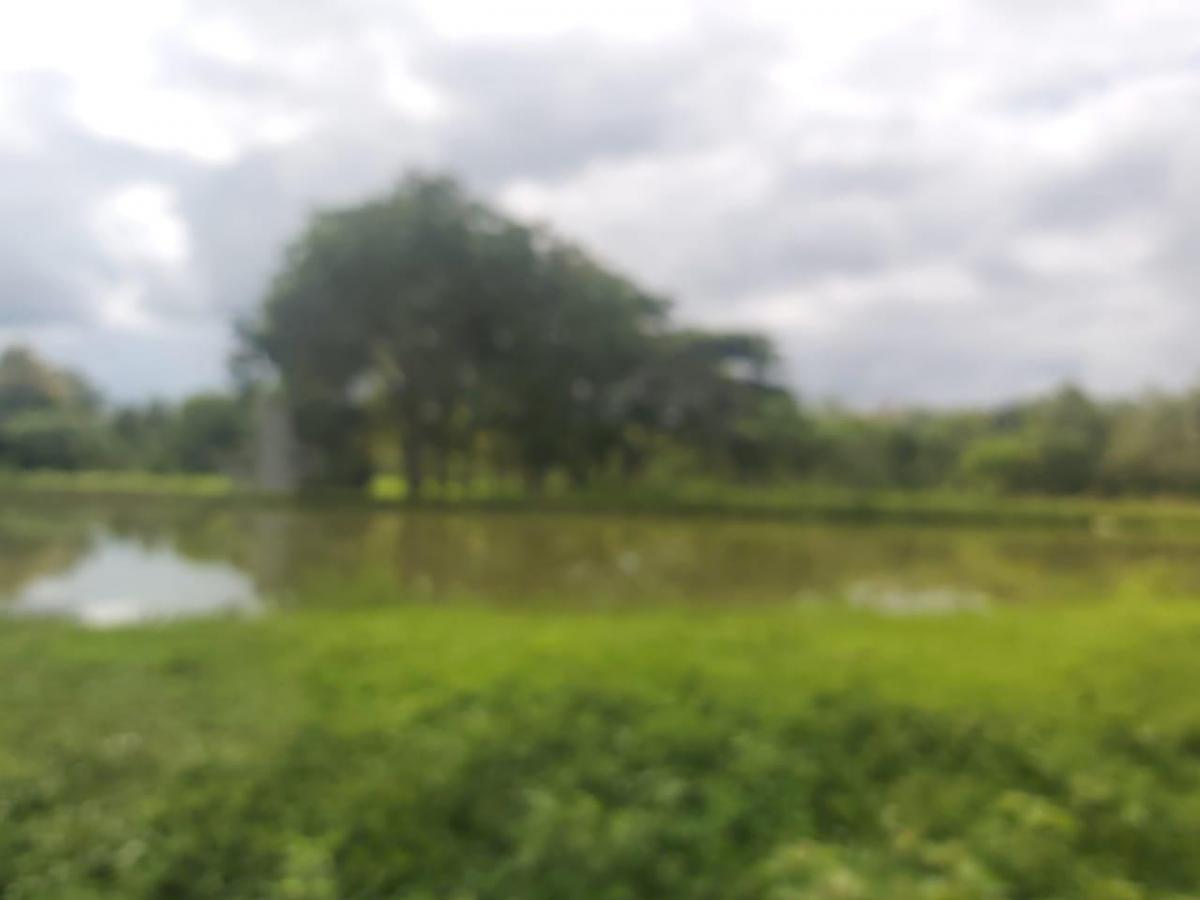 Venta Terreno 22.50 Has Chongon Junto Al Nuevo Aeropuerto de Guayaquil, Guayas — imagen 7