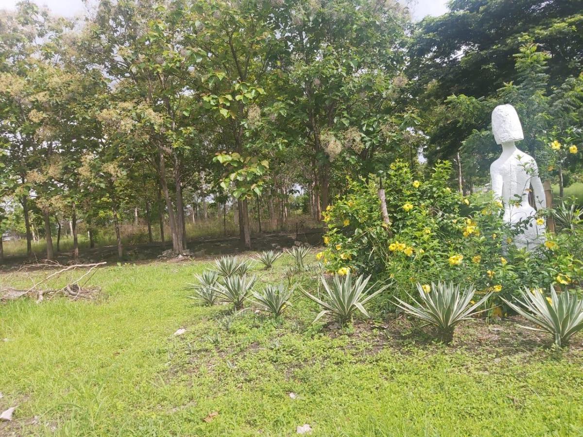 Venta Terreno 22.50 Has Chongon Junto Al Nuevo Aeropuerto de Guayaquil, Guayas — imagen 6