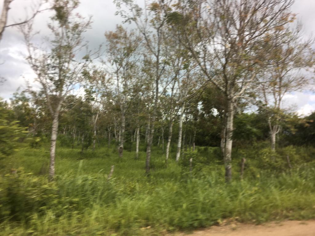Venta Terreno 22.50 Has Chongon Junto Al Nuevo Aeropuerto de Guayaquil, Guayas — imagen 5