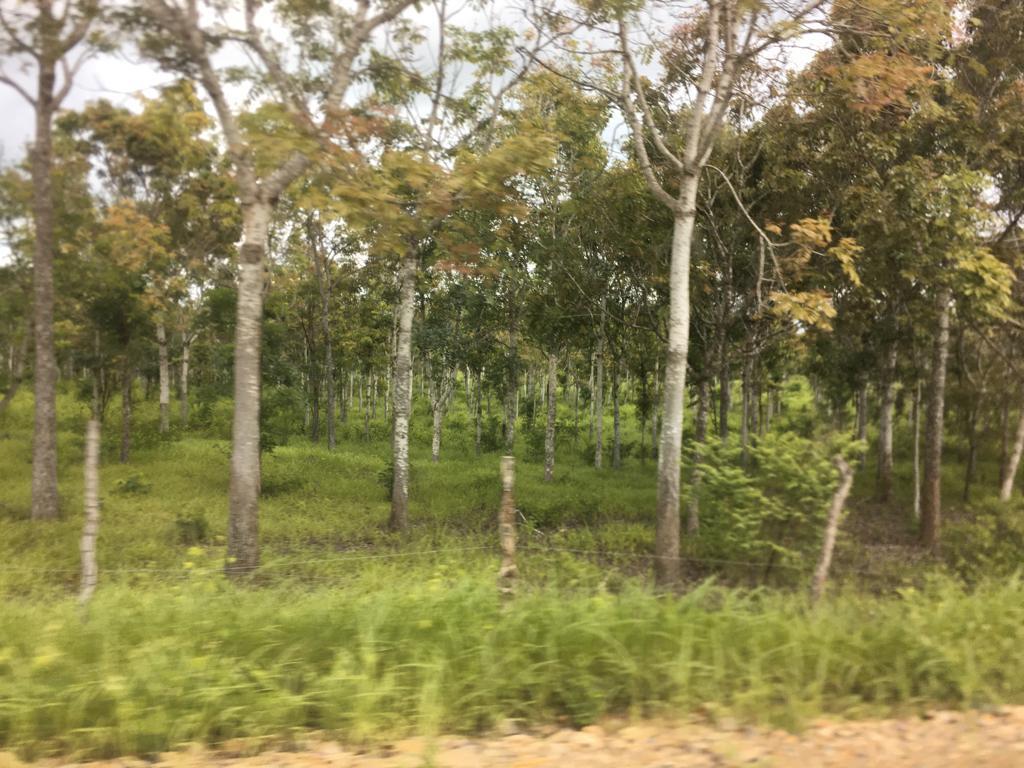 Venta Terreno 22.50 Has Chongon Junto Al Nuevo Aeropuerto de Guayaquil, Guayas — imagen 3
