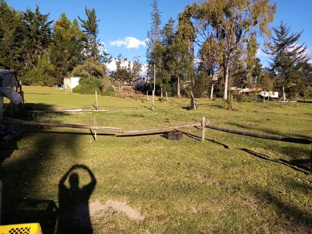 Venta Terreno con Casa en Checa 11.225 m² — imagen 9