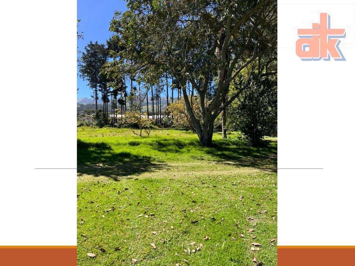 Venta de Quinta con Espectacular Vista – 1.8 Hectáreas en Yaruquí, Sector San Carlos — imagen 10