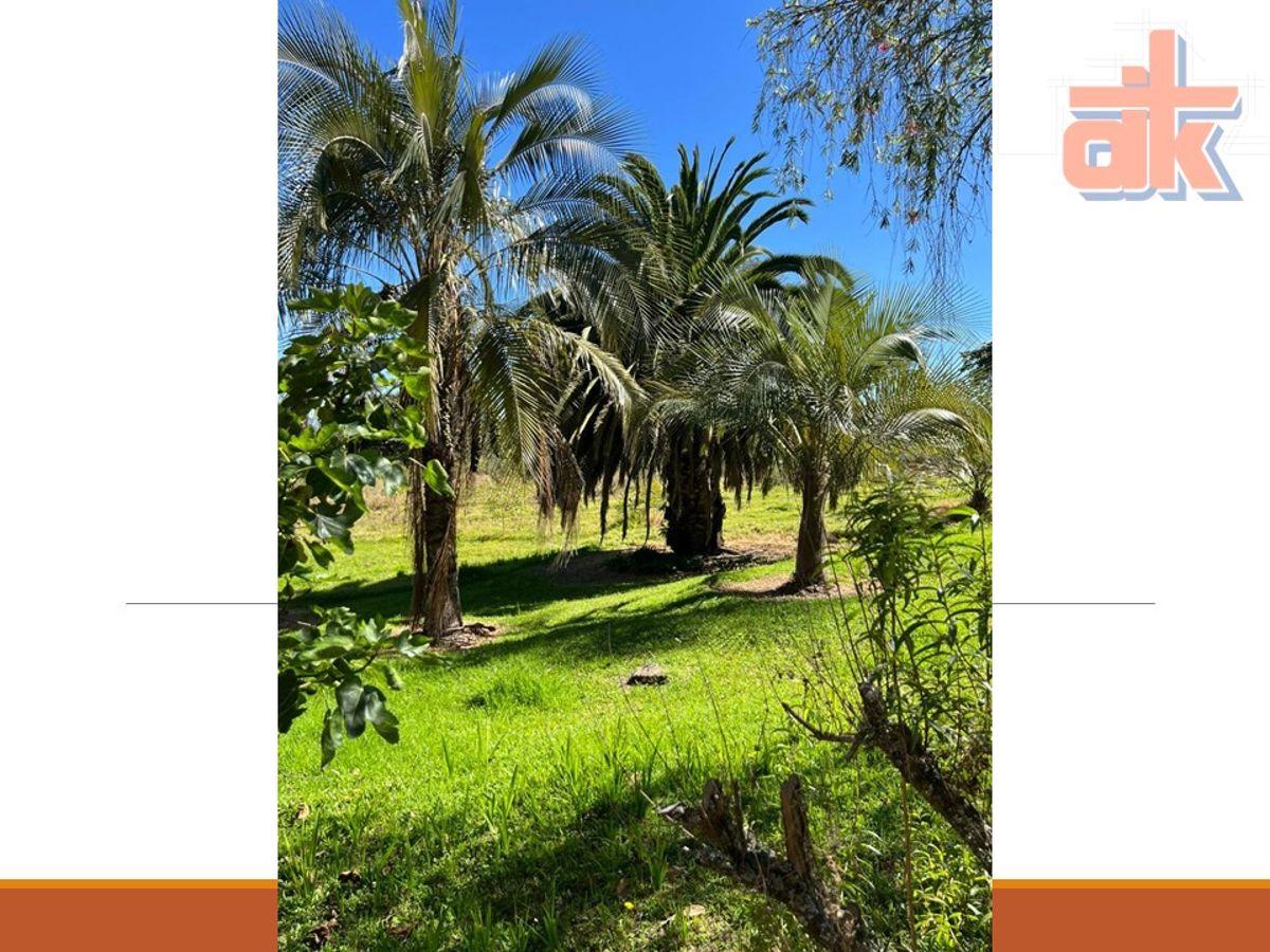 Venta de Quinta con Espectacular Vista – 1.8 Hectáreas en Yaruquí, Sector San Carlos — imagen 9