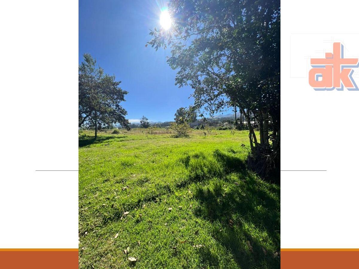 Venta de Quinta con Espectacular Vista – 1.8 Hectáreas en Yaruquí, Sector San Carlos — imagen 6