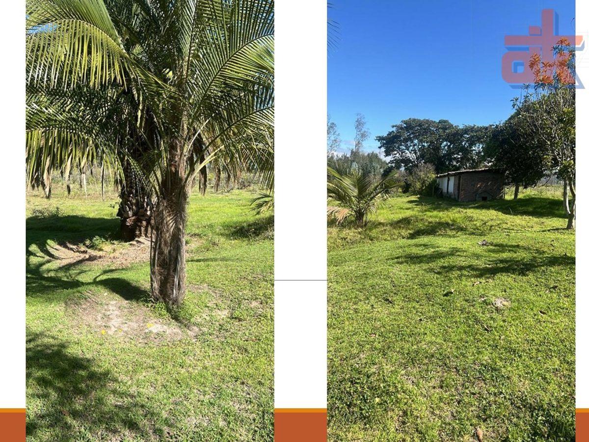 Venta de Quinta con Espectacular Vista – 1.8 Hectáreas en Yaruquí, Sector San Carlos — imagen 5