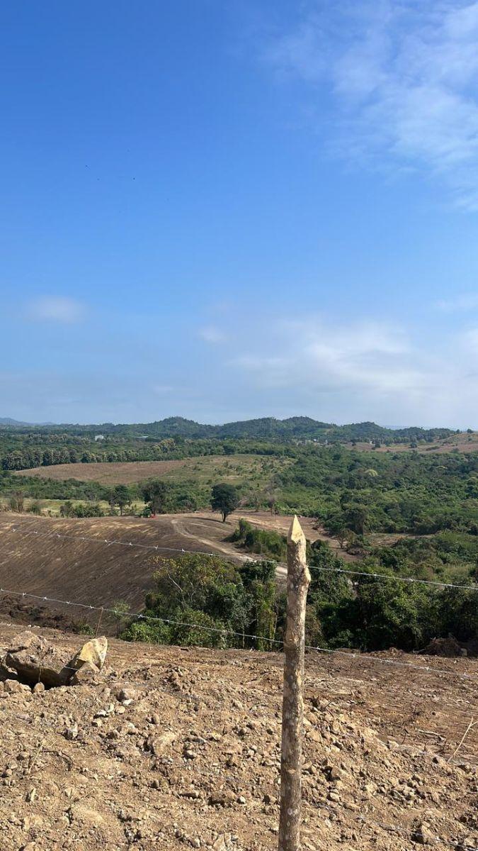 Vendo Terreno 5.87 Ha Km 37 Via a La Costa, Al Pie de La Via - Mlvillegas, Guayas — imagen 9
