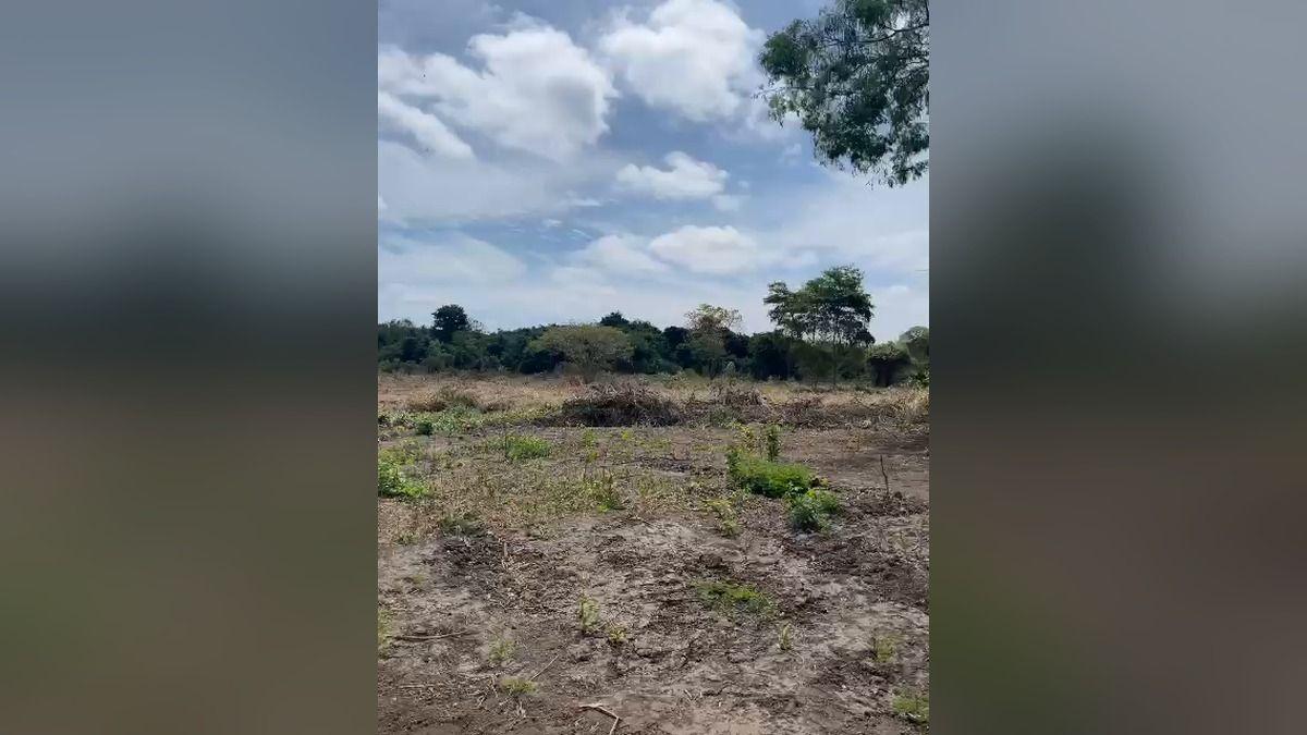 Vendo Terreno 5.87 Ha Km 37 Via a La Costa, Al Pie de La Via - Mlvillegas, Guayas — imagen 5