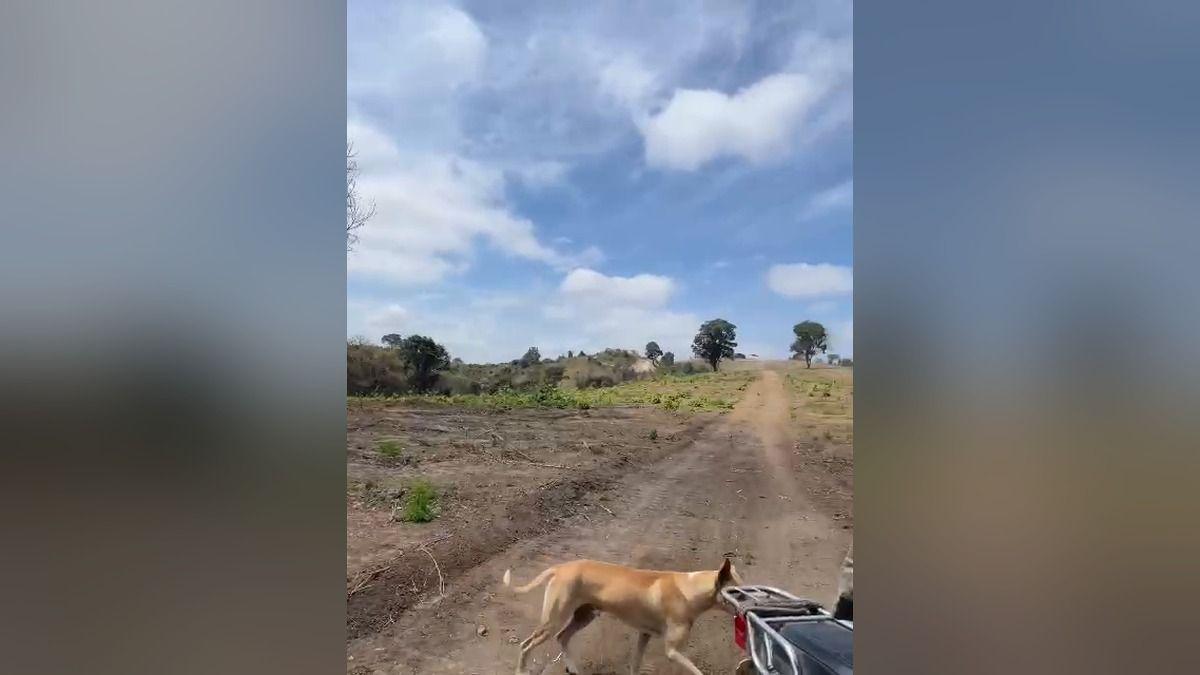 Vendo Terreno 5.87 Ha Km 37 Via a La Costa, Al Pie de La Via - Mlvillegas, Guayas — imagen 3