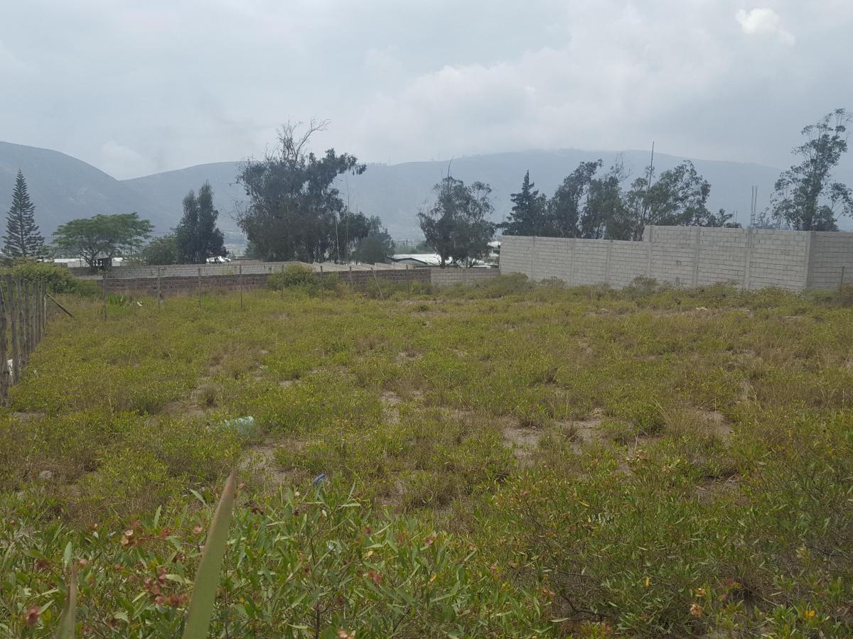 Terreno Plano, Mitad del Mundo, 895 m — imagen 4