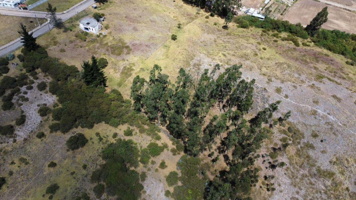 Terreno de 45165 m² en Venta en Pifo Sector El Inga — imagen 7