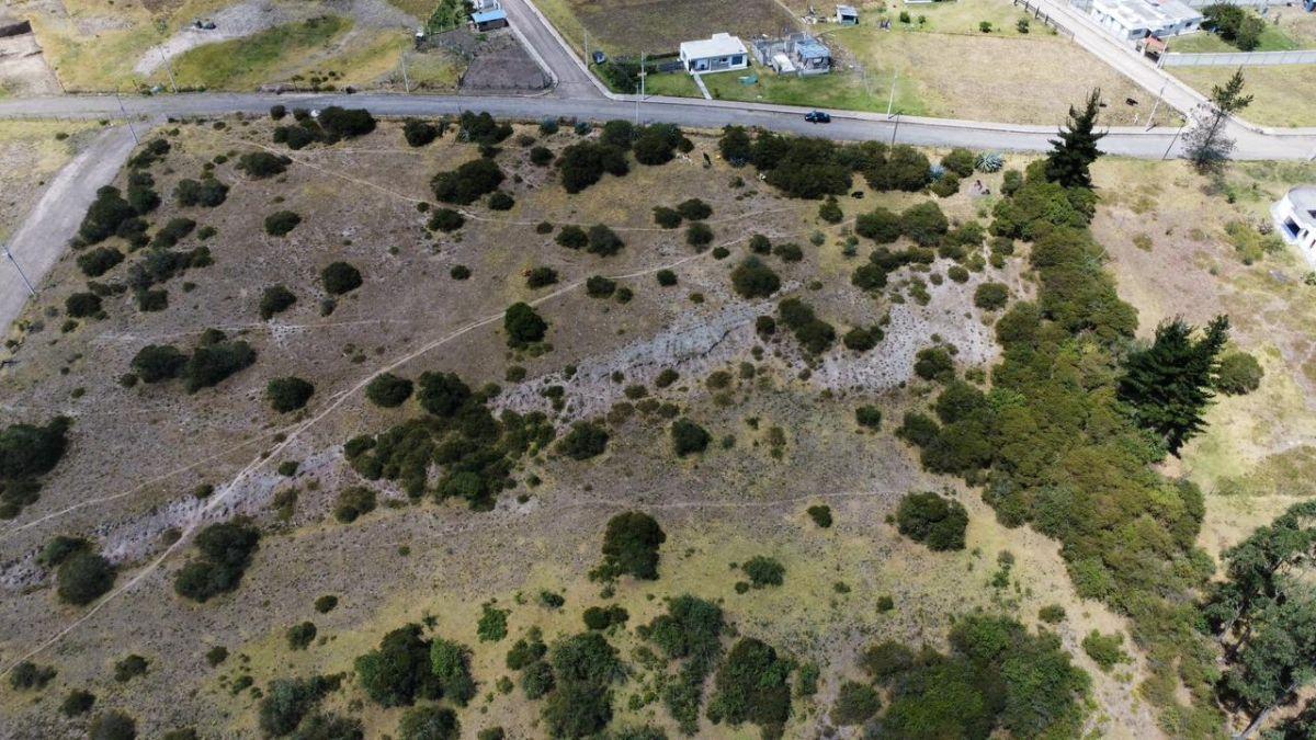Terreno de 45165 m² en Venta en Pifo Sector El Inga — imagen 6