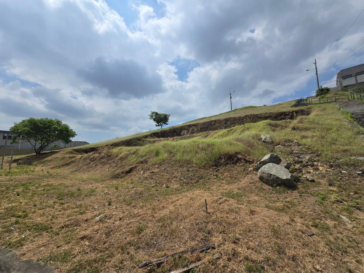 Vendo Terreno en El Condado de Vicolinci, Guayas — imagen 4