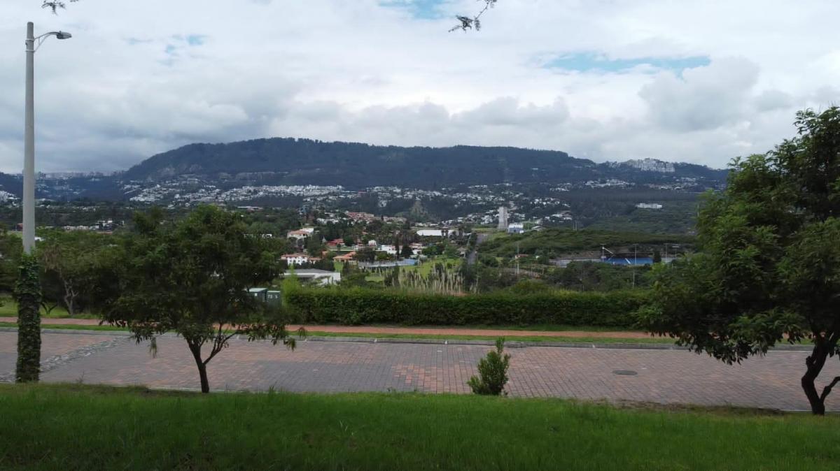 Espectacular Terreno de Venta Ubicado en La Urbanización La Quinta. Exclusividad, Seguridad — imagen 10