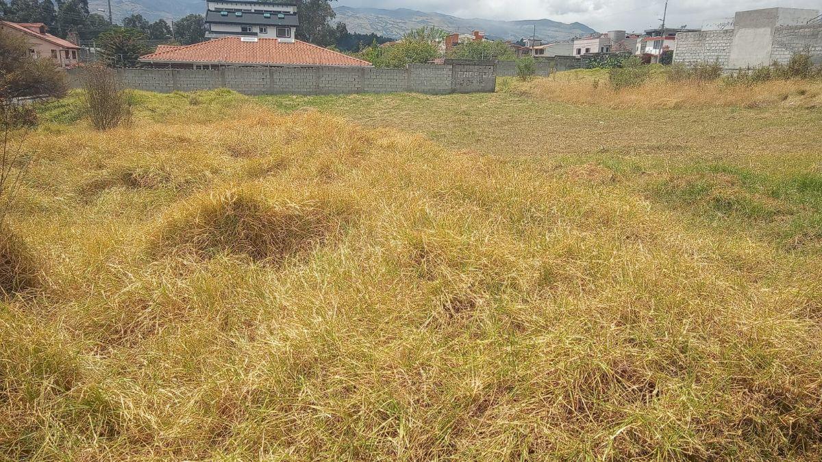 Se Vende Terreno Urbanizacion Segura Sector Espe — imagen 9