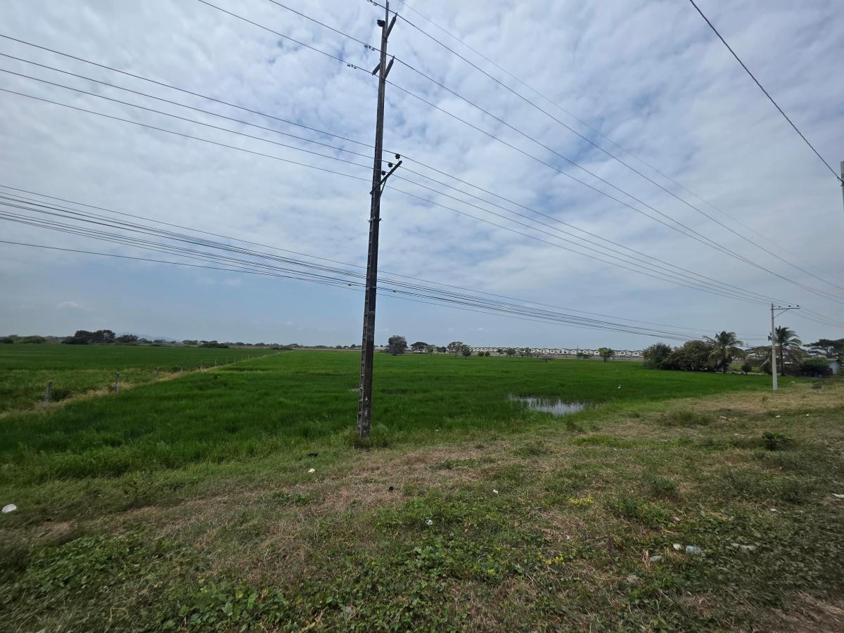 Vendo Terreno Al Pie de La Via, Salitre Km. 6, Ideal Para Urbanización, Guayas — imagen 10