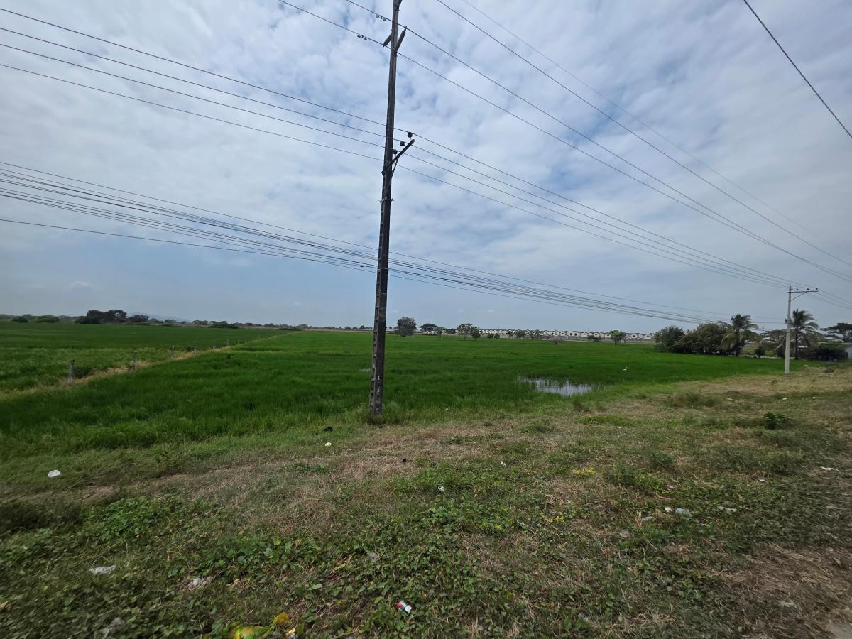 Vendo Terreno Al Pie de La Via, Salitre Km. 6, Ideal Para Urbanización, Guayas — imagen 9