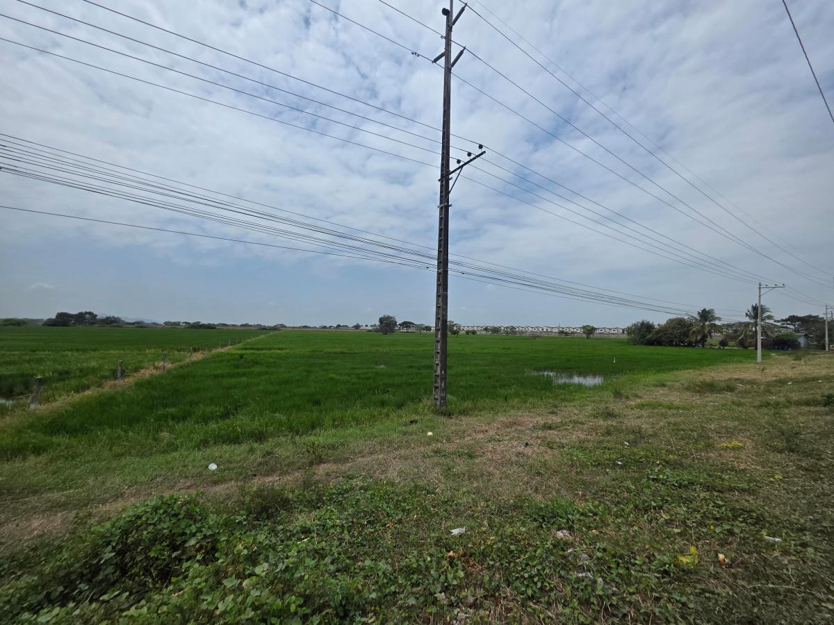Vendo Terreno Al Pie de La Via, Salitre Km. 6, Ideal Para Urbanización, Guayas — imagen 5