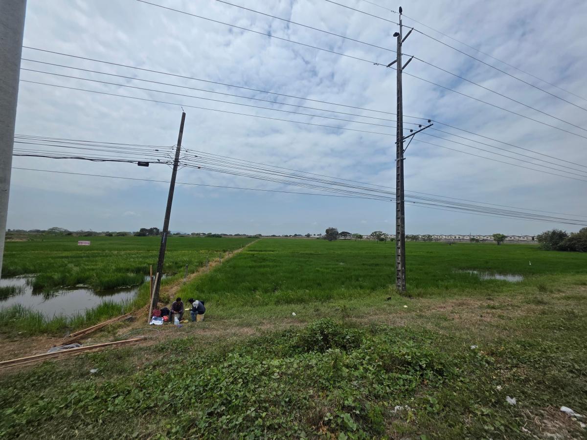 Vendo Terreno Al Pie de La Via, Salitre Km. 6, Ideal Para Urbanización, Guayas — imagen 4