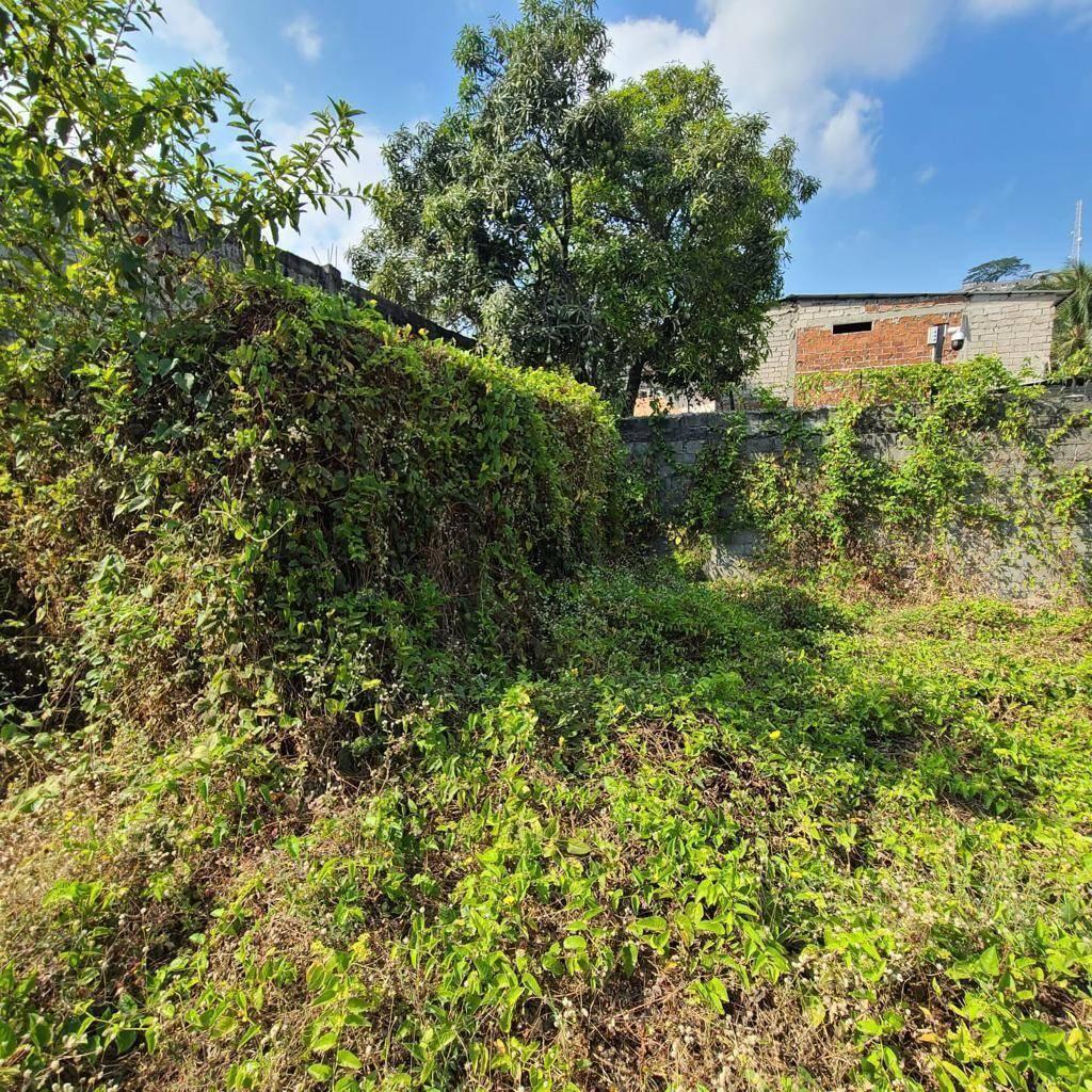 Venta de Terreno 800 m² en Mapasigue Este Dansat, Guayas — imagen 5