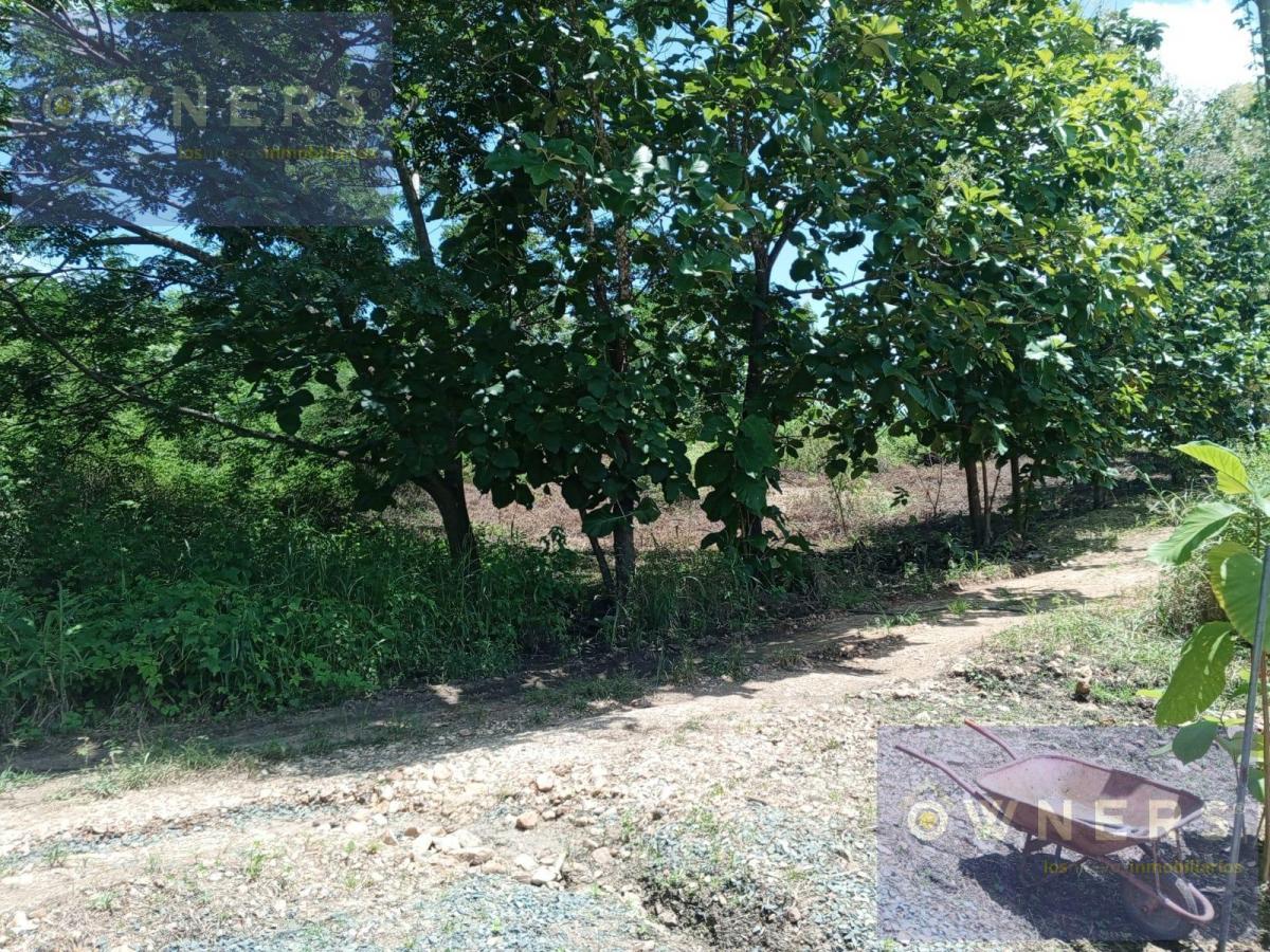 Venta Terreno Lotizac. Privada Via Costa (Age), Guayas — imagen 9