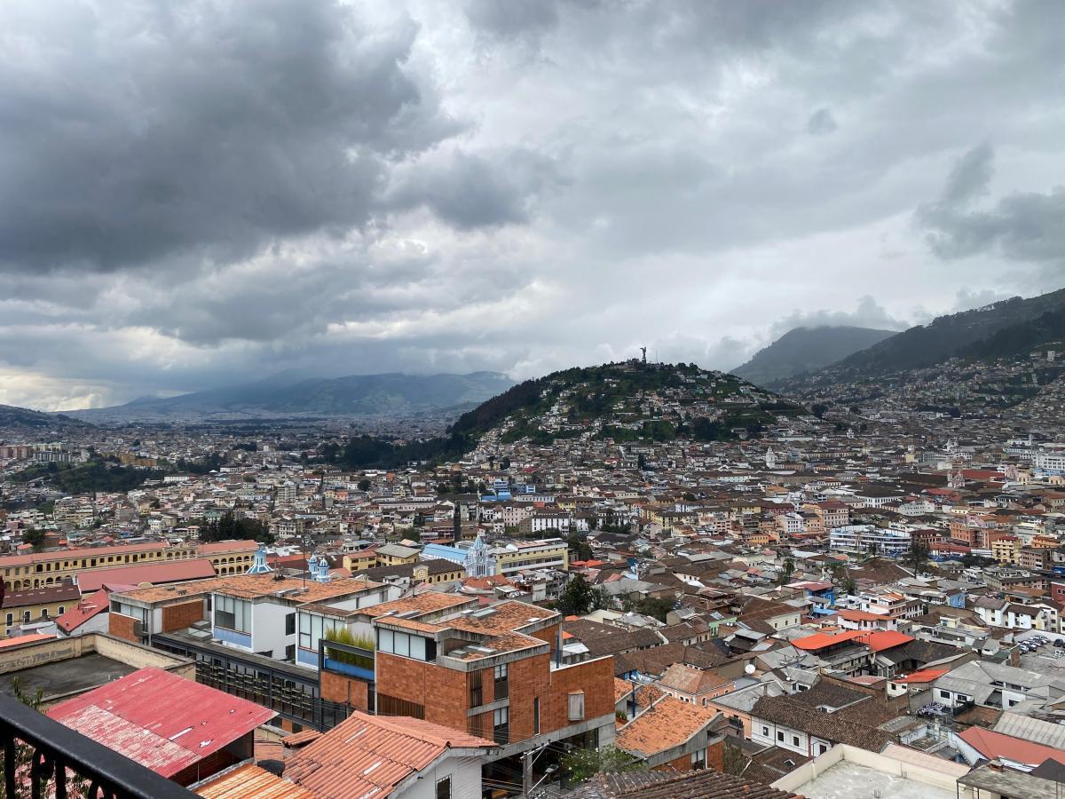 Terreno en Venta Itchimbia 2689 m² Vista Excelente — imagen 8