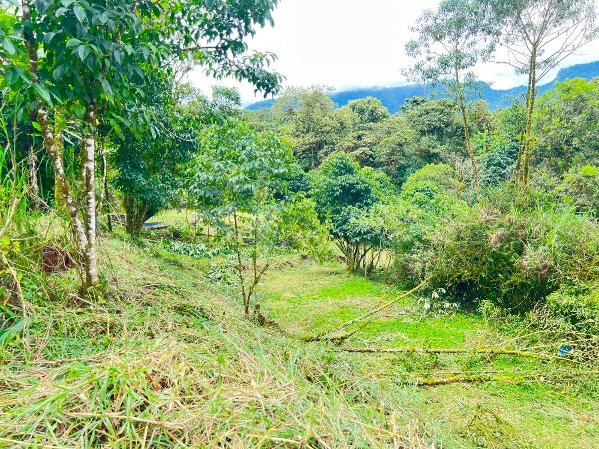 En Venta – Excelente Terreno en Mindo — imagen 9